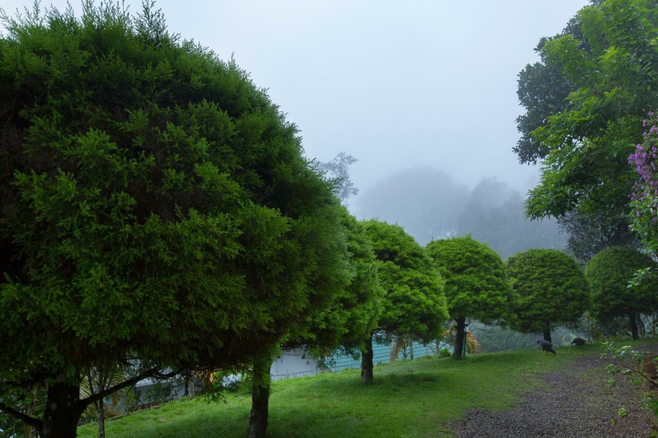 Bracknell Forest Munnar Kültér fotó
